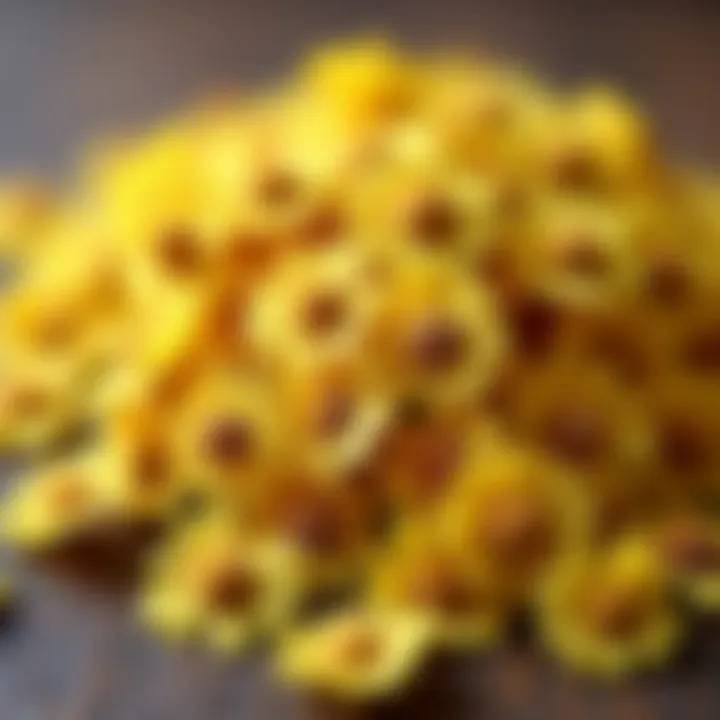 A close-up view of dried chamomile flowers showcasing their delicate texture and vibrant color