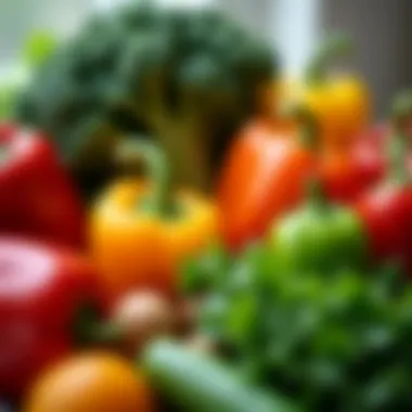 An assortment of colorful vegetables ready for juicing, including kale, celery, and bell peppers