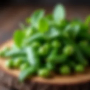 A close-up of pea shoots on a rustic wooden table