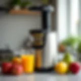 A high-quality juicer showcased on a countertop with fresh fruits around it.