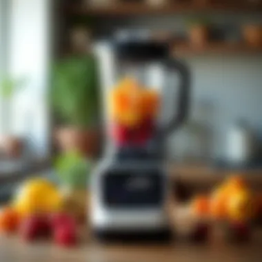 Intuitive User Interface of a Blender User-friendly blender interface