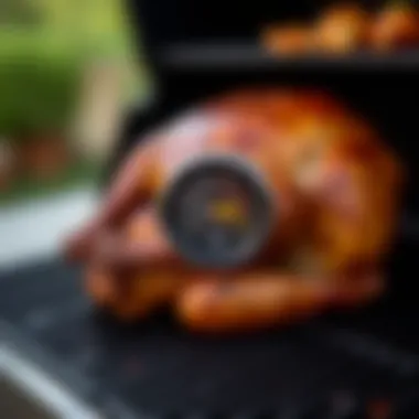 Monitoring turkey's temperature during grilling