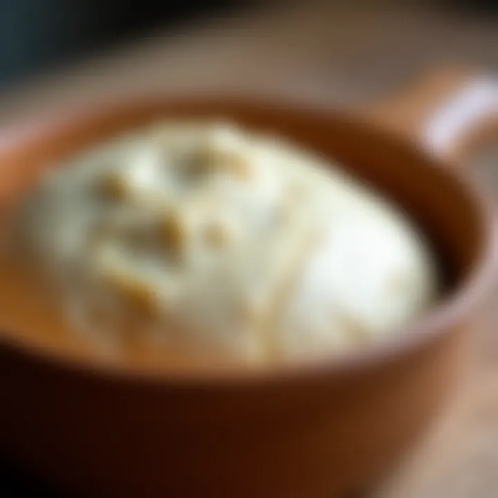 A close-up of dough fermenting in a bowl, illustrating the fermentation process.