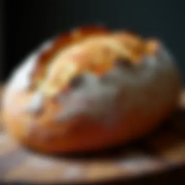 A rustic loaf of bread showcasing its crusty exterior and soft interior.