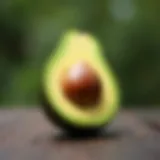 A ripe avocado showcasing its smooth, green skin and creamy interior